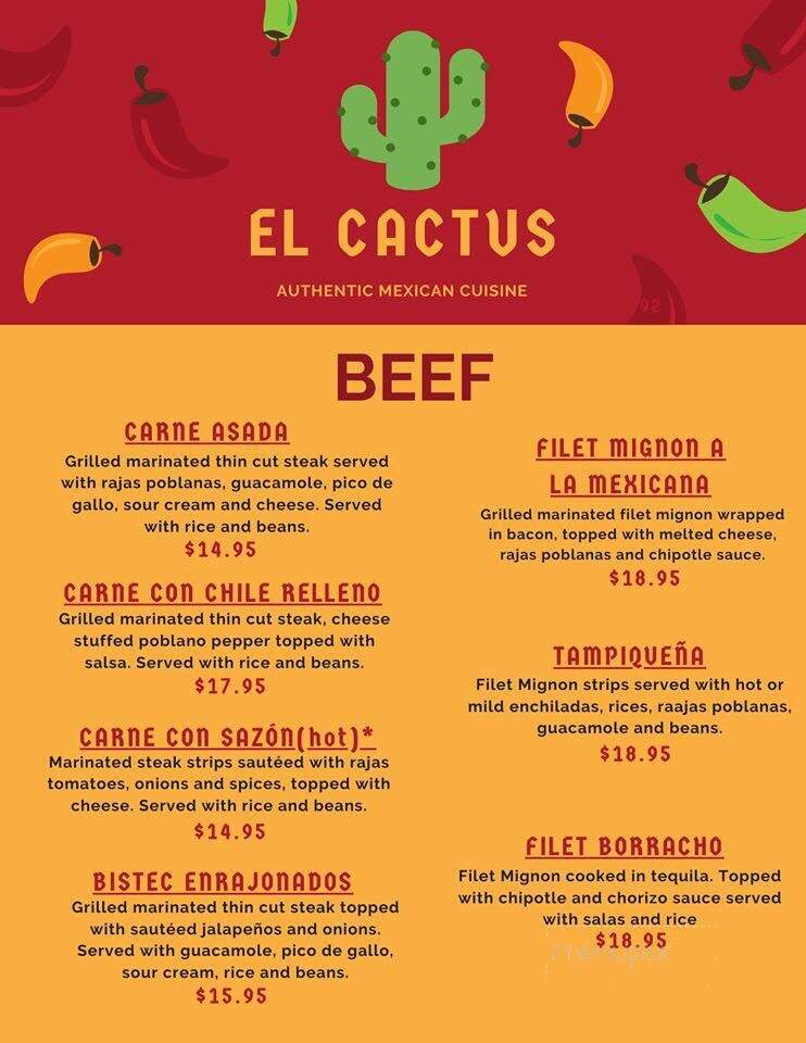 El Cactus - Souderton, PA